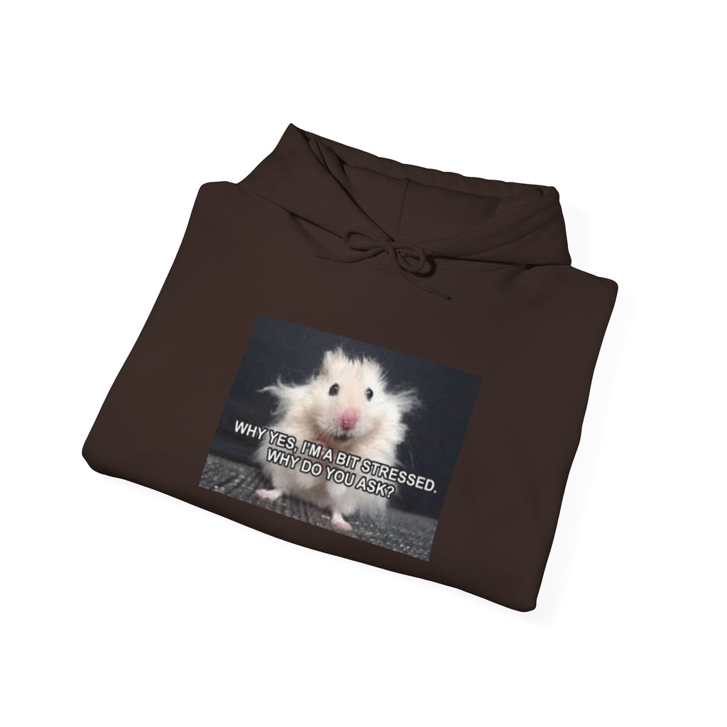 Hoodie — Cute Fluffy Hamster Graphic "Look Different" Pullover