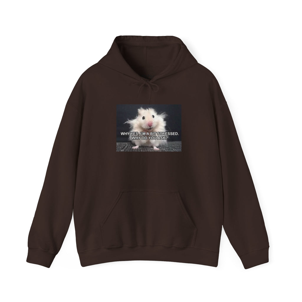 Hoodie — Cute Fluffy Hamster Graphic "Look Different" Pullover