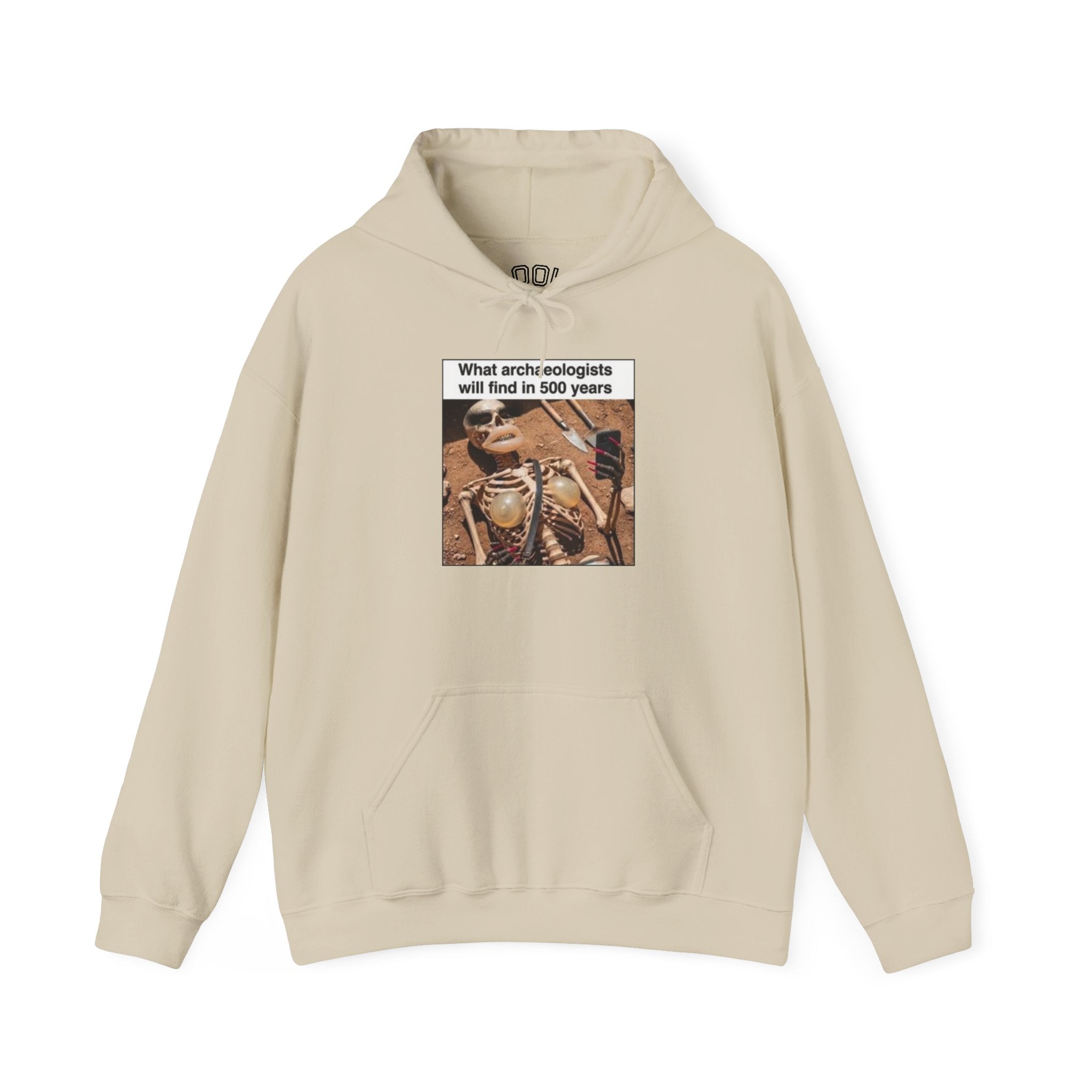 Hoodie — "What Arctic Ecologists Will Find in 500 Years" Vintage Cabin Photo | LOOK Different Back Print