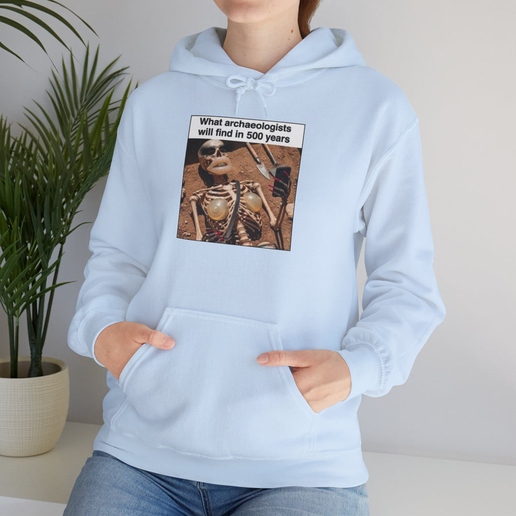 Hoodie — "What Arctic Ecologists Will Find in 500 Years" Vintage Cabin Photo | LOOK Different Back Print