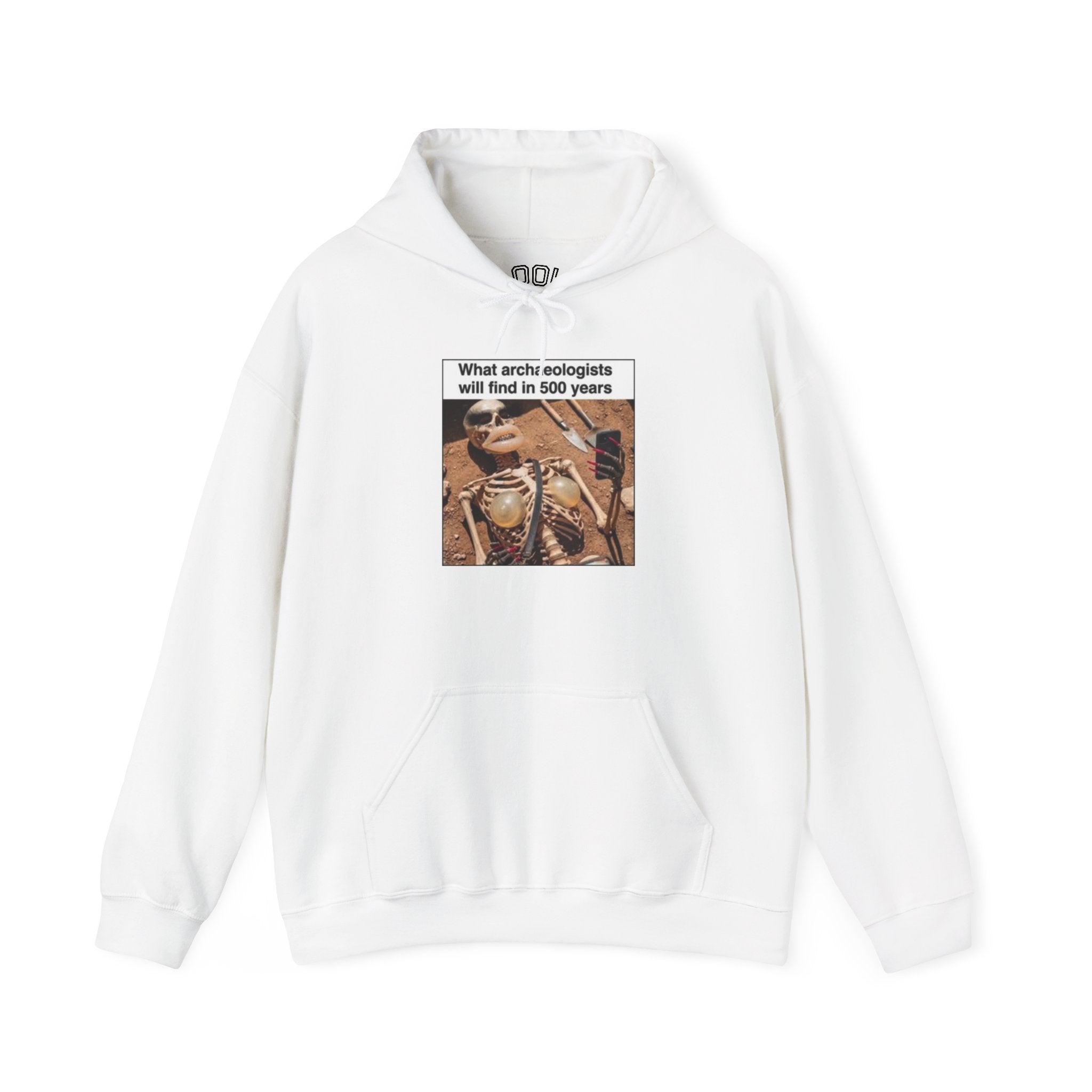 Hoodie — "What Arctic Ecologists Will Find in 500 Years" Vintage Cabin Photo | LOOK Different Back Print