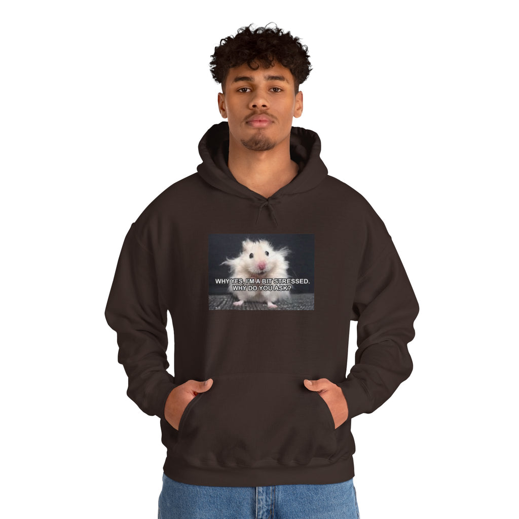 Hoodie — Cute Fluffy Hamster Graphic "Look Different" Pullover