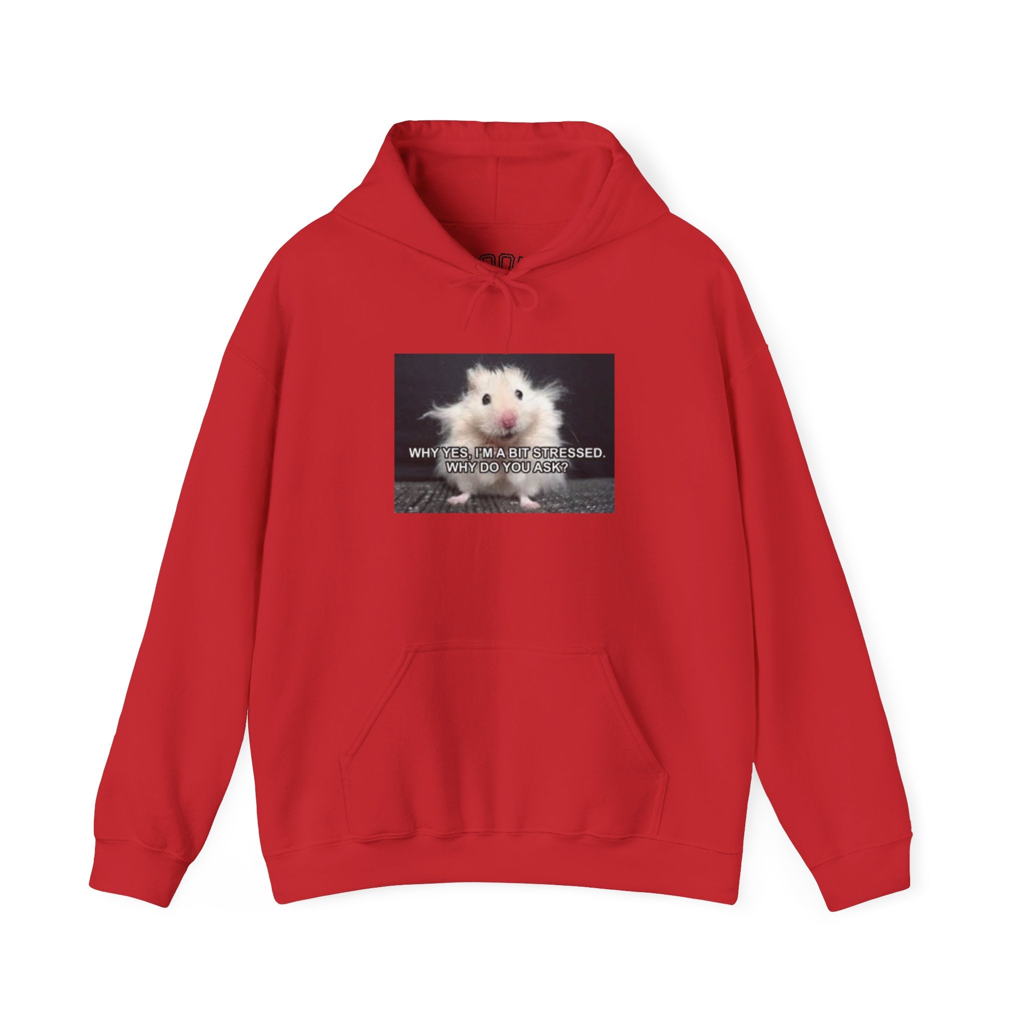 Hoodie — Cute Fluffy Hamster Graphic "Look Different" Pullover