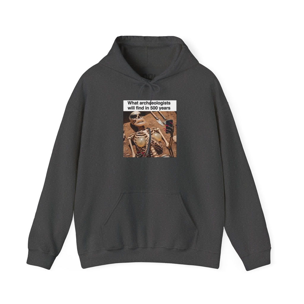 Hoodie — "What Arctic Ecologists Will Find in 500 Years" Vintage Cabin Photo | LOOK Different Back Print