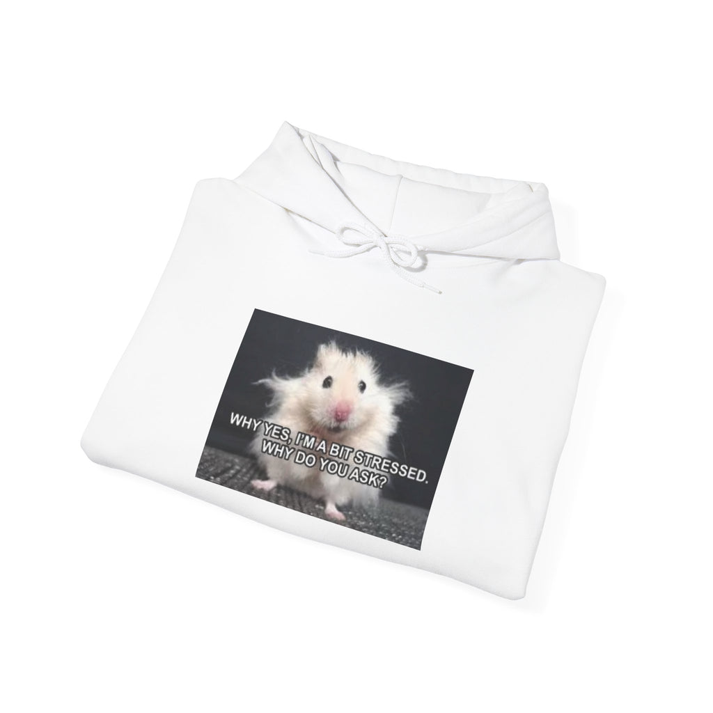 Hoodie — Cute Fluffy Hamster Graphic "Look Different" Pullover
