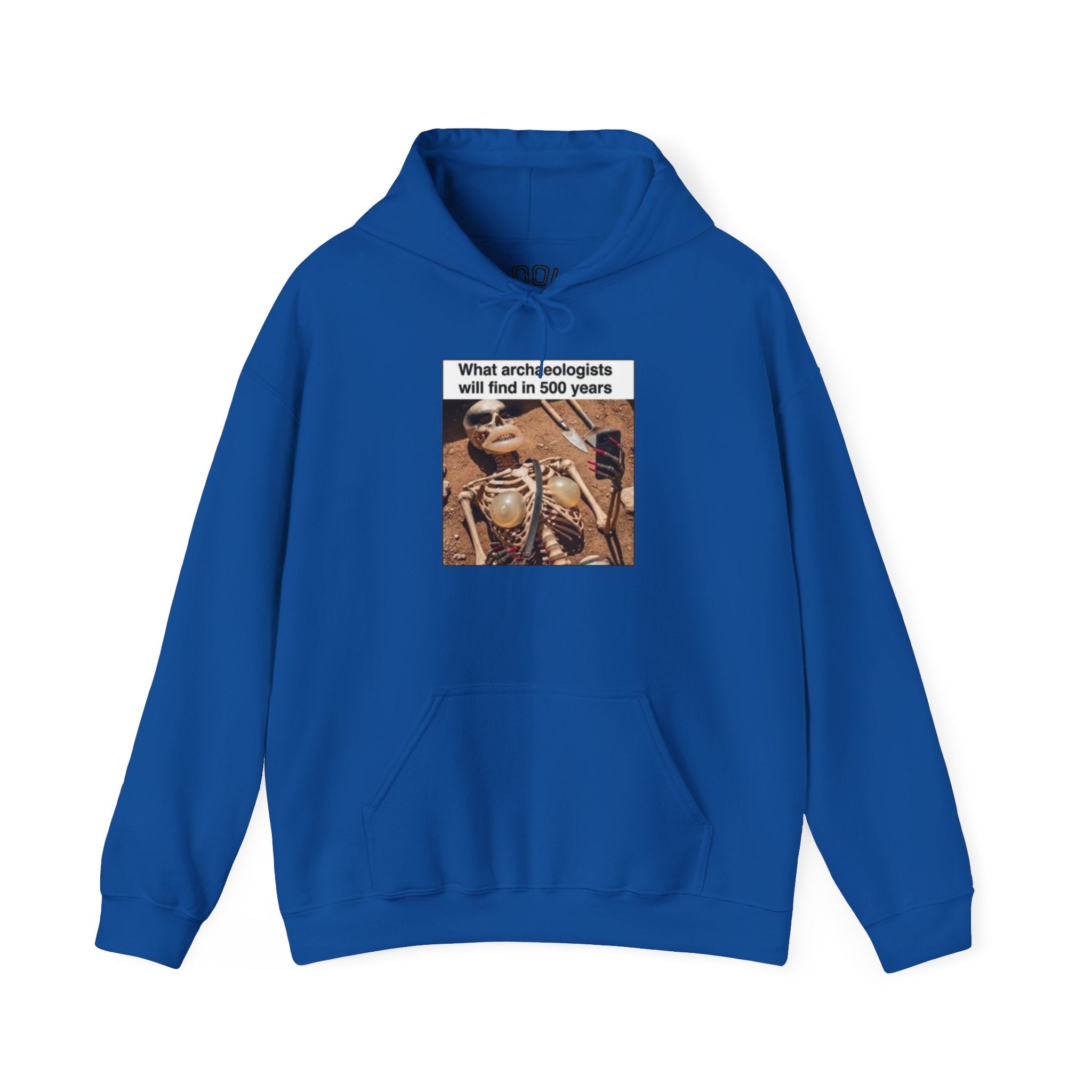 Hoodie — "What Arctic Ecologists Will Find in 500 Years" Vintage Cabin Photo | LOOK Different Back Print
