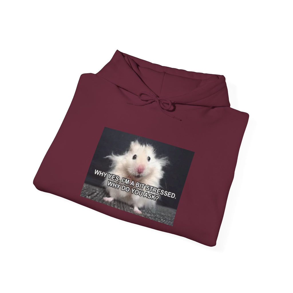 Hoodie — Cute Fluffy Hamster Graphic "Look Different" Pullover