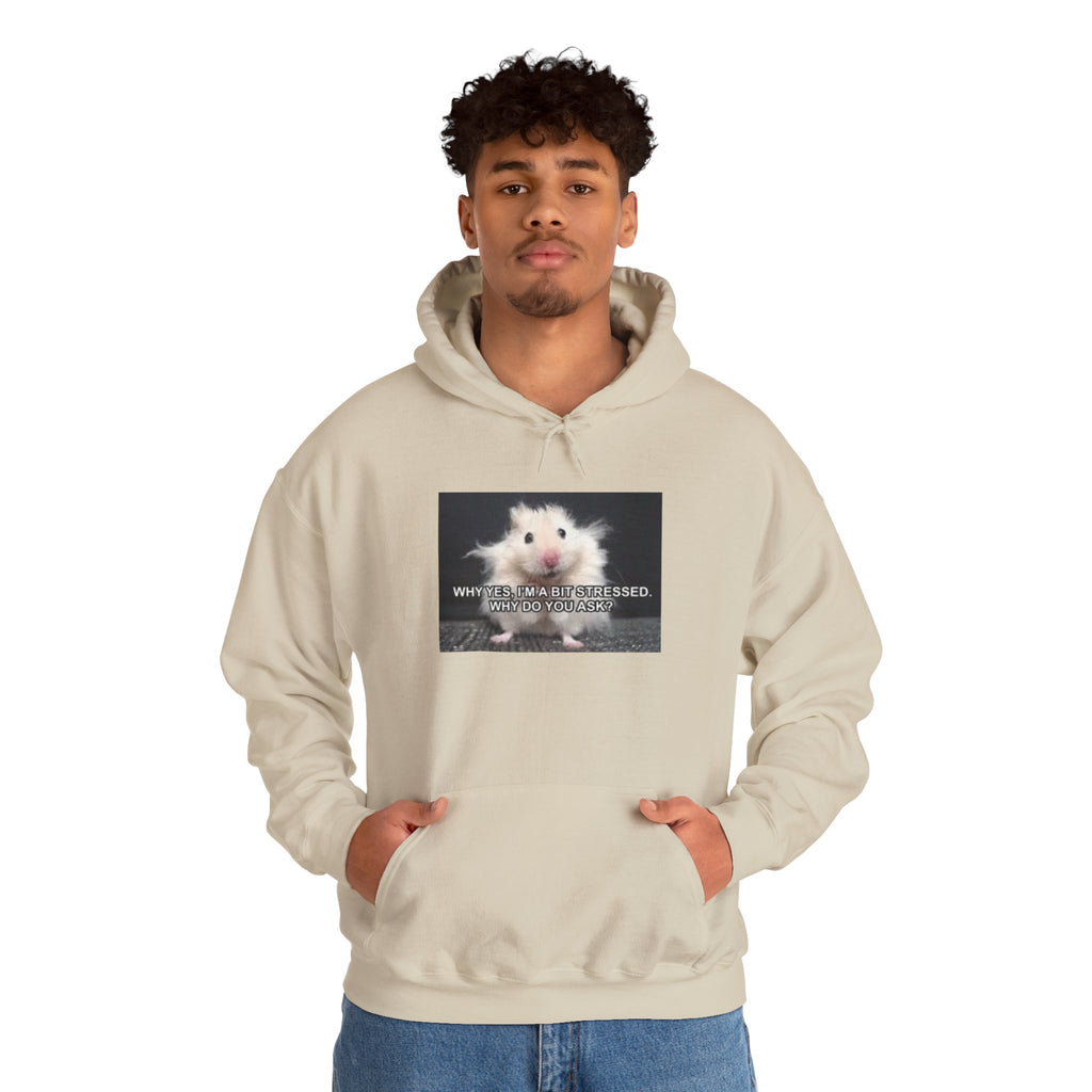 Hoodie — Cute Fluffy Hamster Graphic "Look Different" Pullover