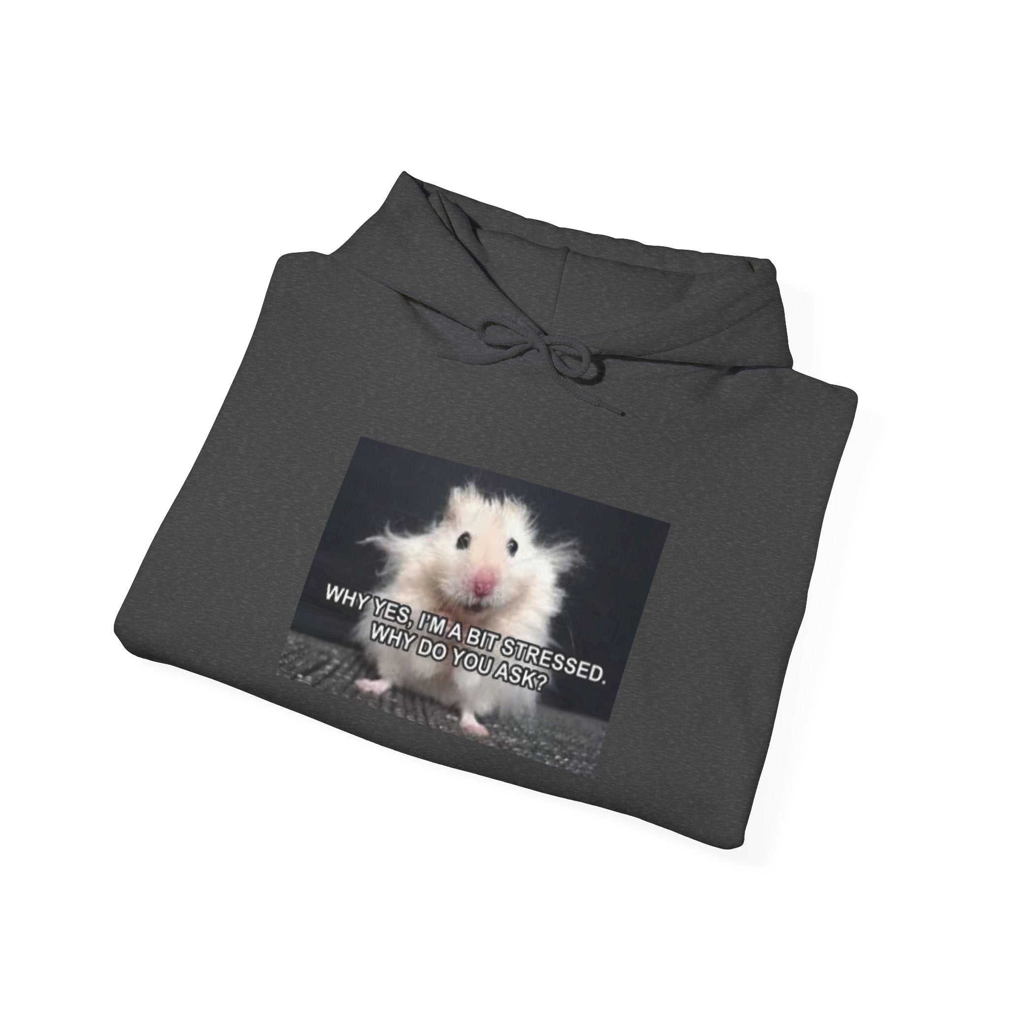 Hoodie — Cute Fluffy Hamster Graphic "Look Different" Pullover