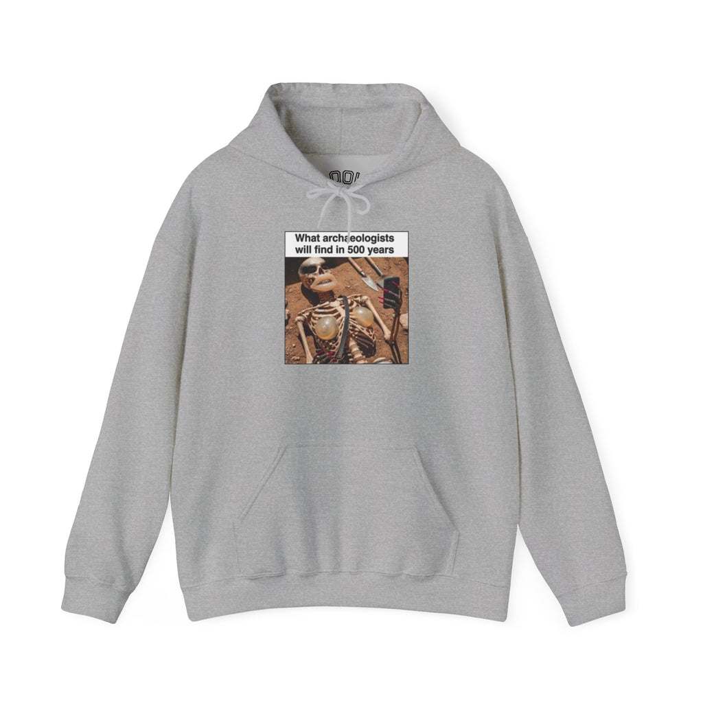 Hoodie — "What Arctic Ecologists Will Find in 500 Years" Vintage Cabin Photo | LOOK Different Back Print