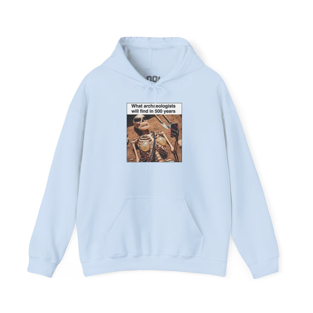 Hoodie — "What Arctic Ecologists Will Find in 500 Years" Vintage Cabin Photo | LOOK Different Back Print