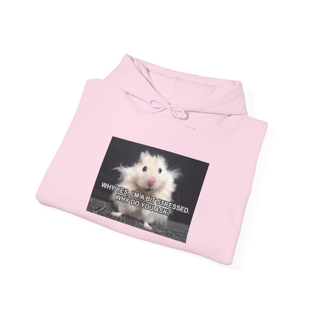 Hoodie — Cute Fluffy Hamster Graphic "Look Different" Pullover