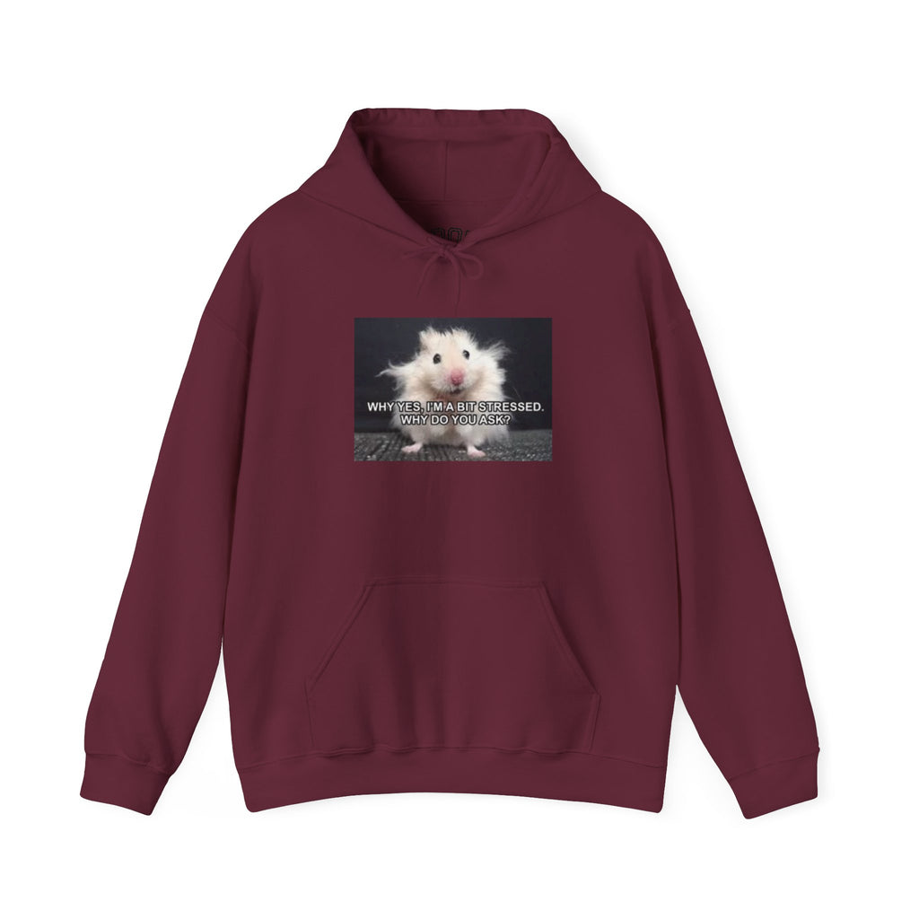 Hoodie — Cute Fluffy Hamster Graphic "Look Different" Pullover