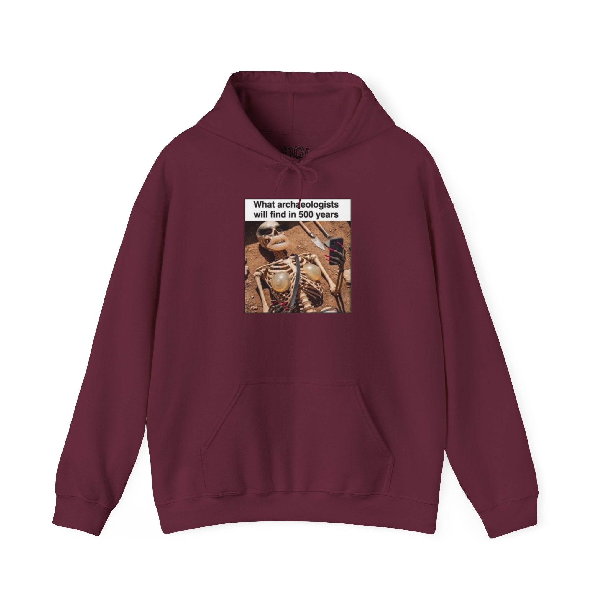 Hoodie — "What Arctic Ecologists Will Find in 500 Years" Vintage Cabin Photo | LOOK Different Back Print