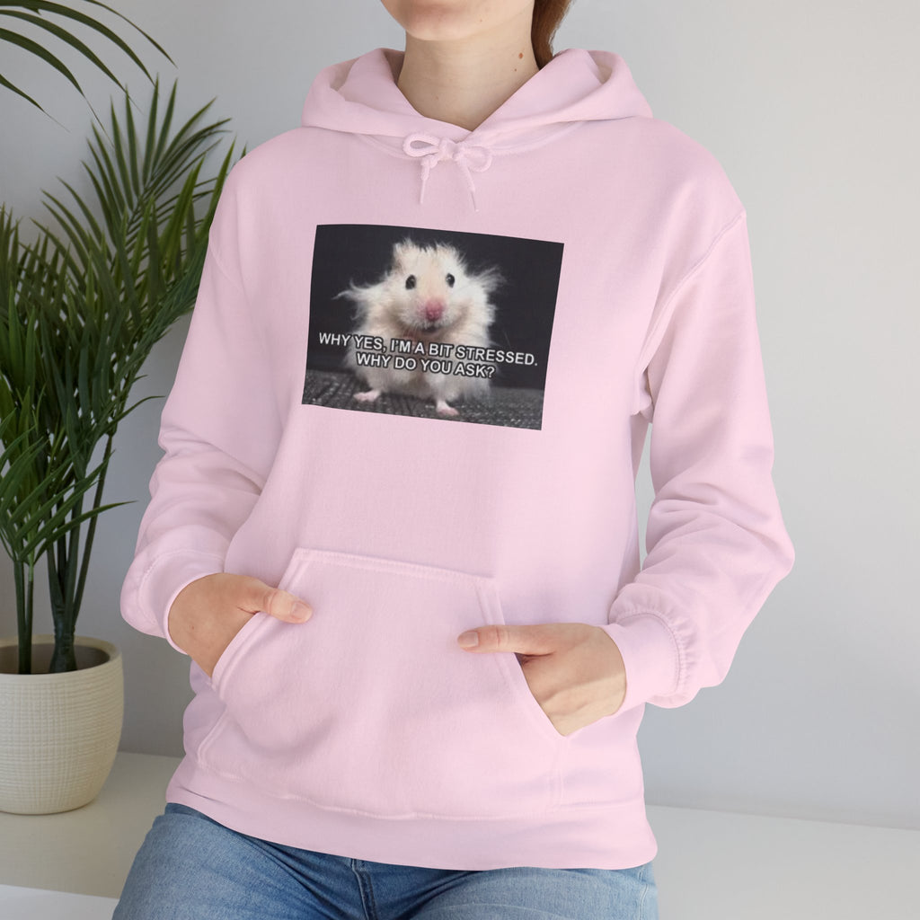 Hoodie — Cute Fluffy Hamster Graphic "Look Different" Pullover
