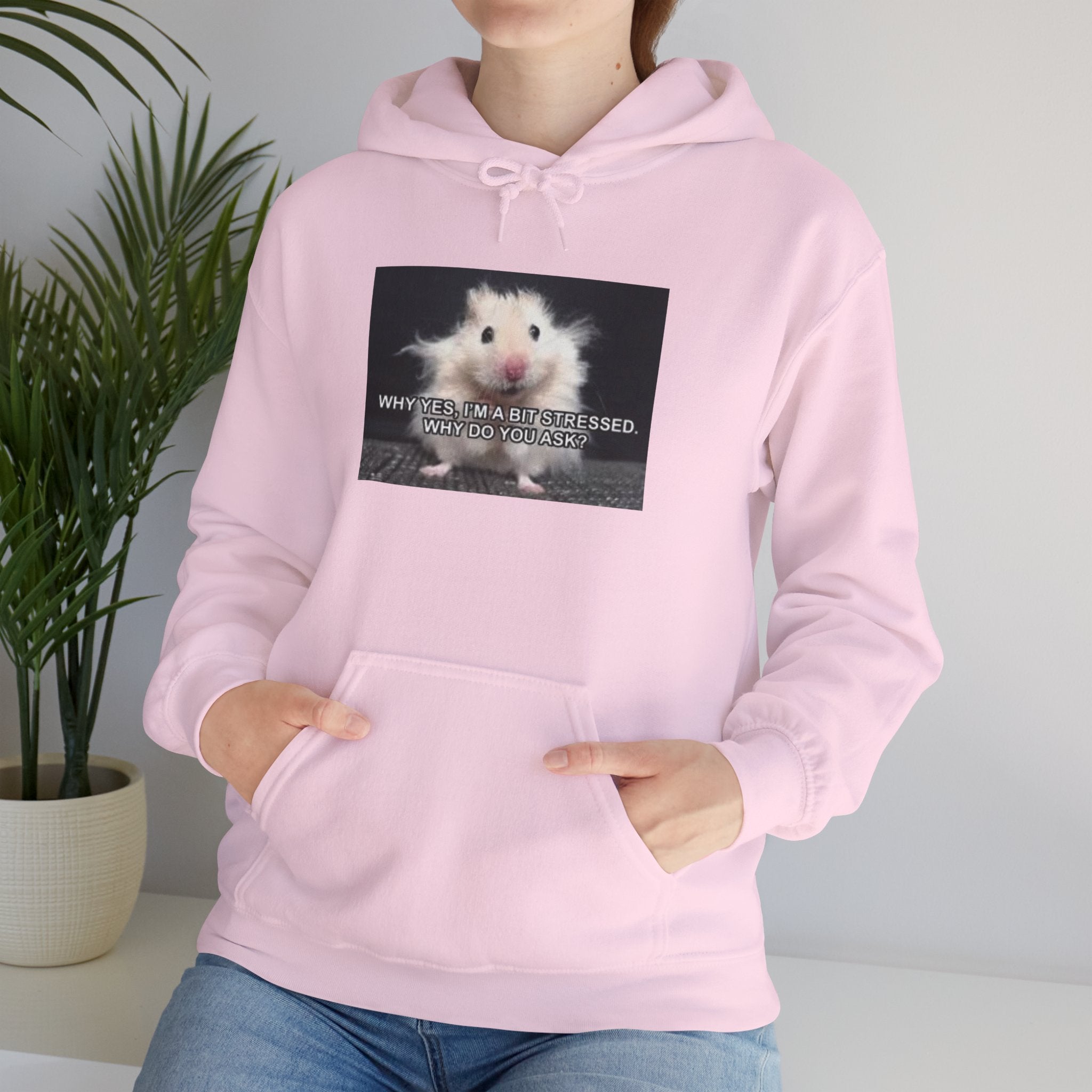 Hoodie — Cute Fluffy Hamster Graphic "Look Different" Pullover