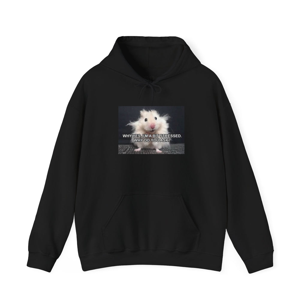 Hoodie — Cute Fluffy Hamster Graphic "Look Different" Pullover