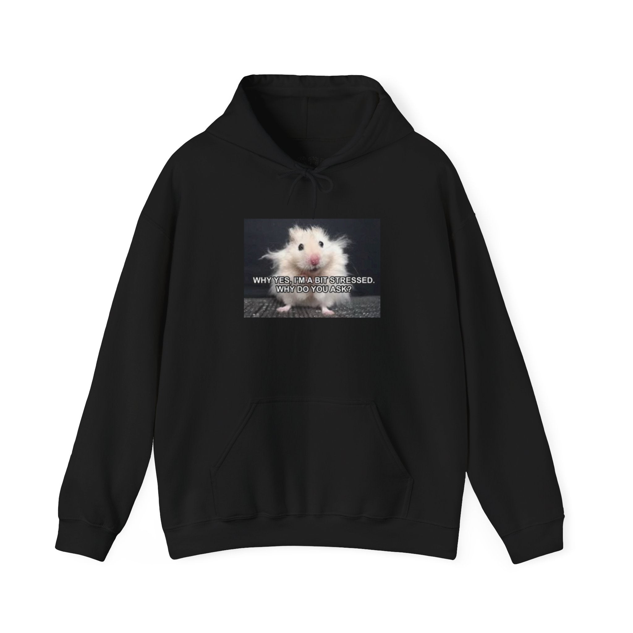 Hoodie — Cute Fluffy Hamster Graphic "Look Different" Pullover