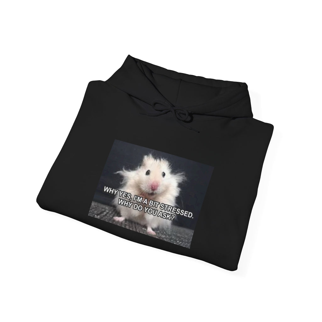 Hoodie — Cute Fluffy Hamster Graphic "Look Different" Pullover