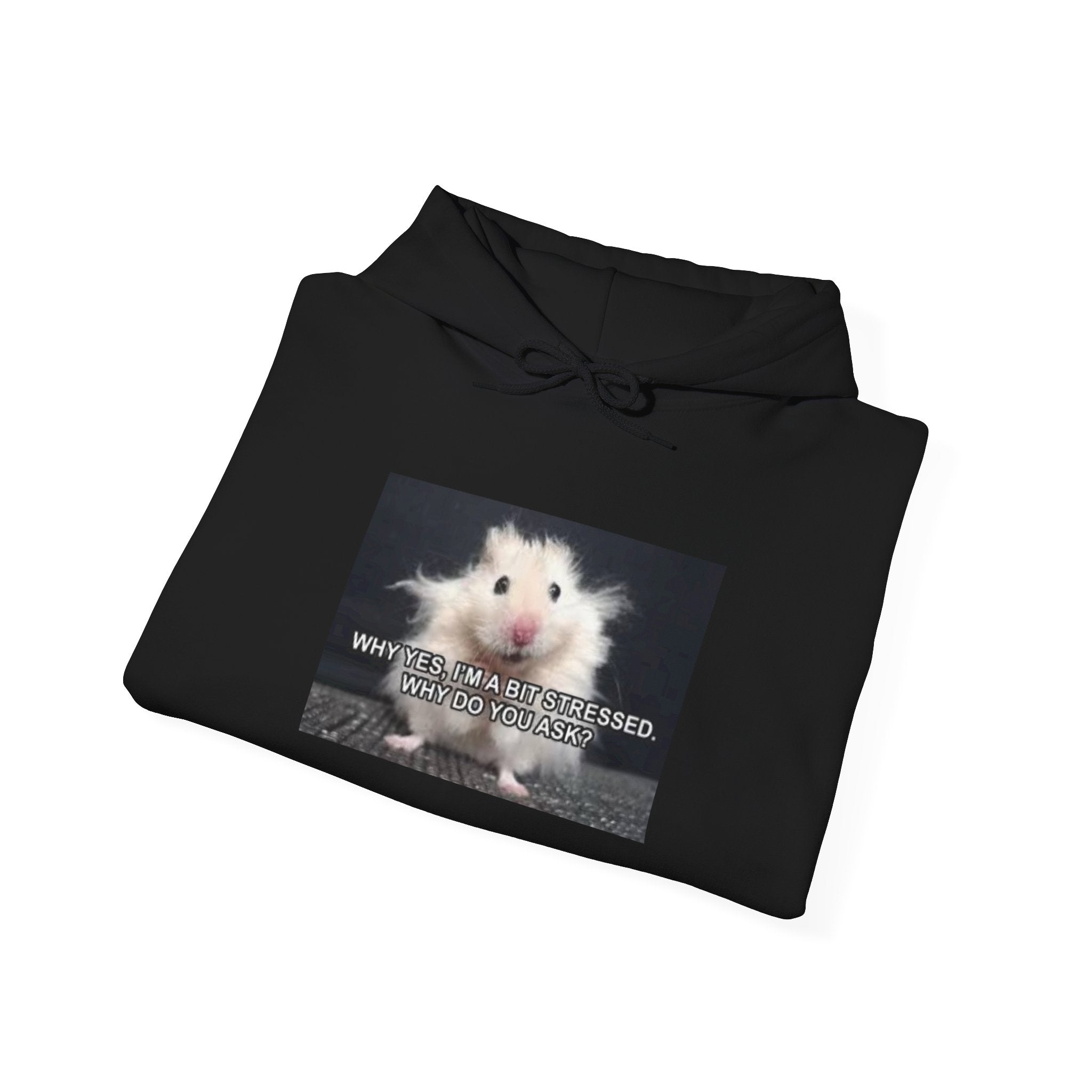 Hoodie — Cute Fluffy Hamster Graphic "Look Different" Pullover