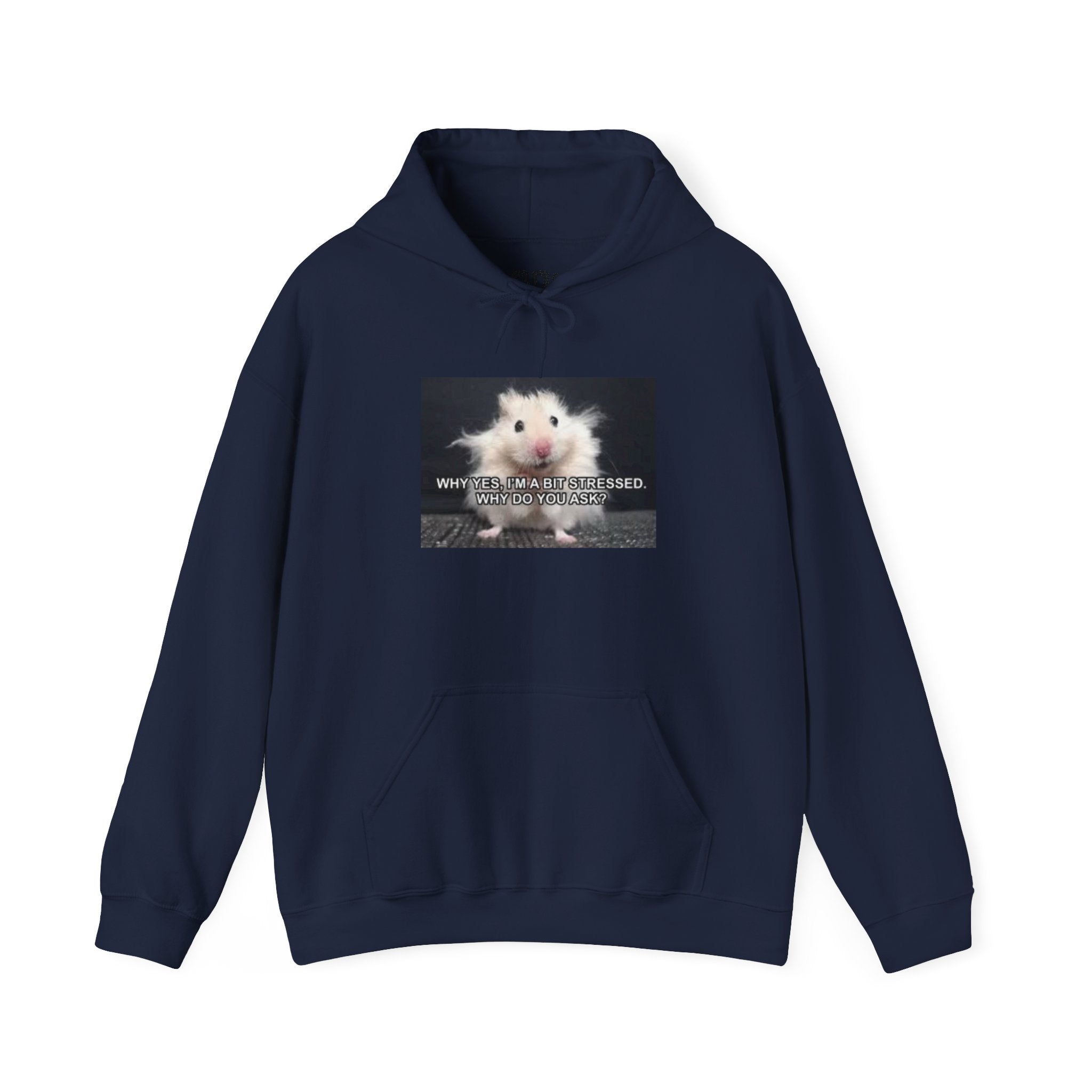 Hoodie — Cute Fluffy Hamster Graphic "Look Different" Pullover
