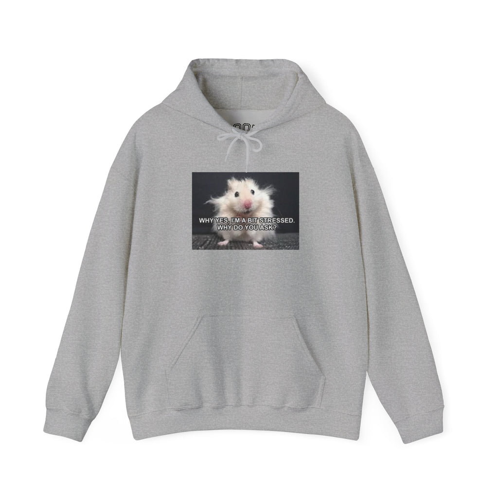 Hoodie — Cute Fluffy Hamster Graphic "Look Different" Pullover
