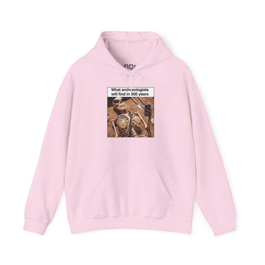Hoodie — "What Arctic Ecologists Will Find in 500 Years" Vintage Cabin Photo | LOOK Different Back Print
