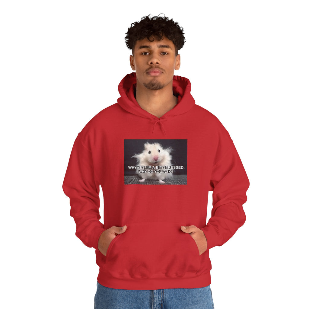 Hoodie — Cute Fluffy Hamster Graphic "Look Different" Pullover