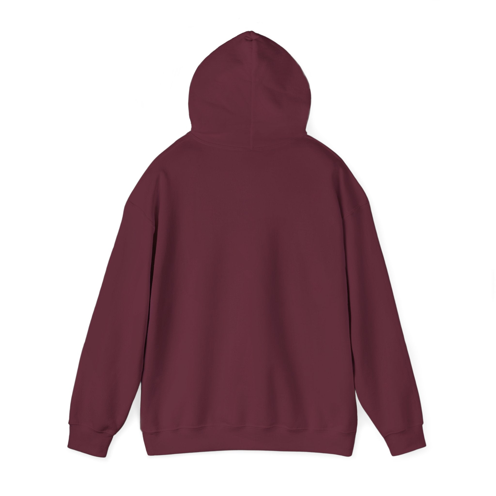 Hug Comfort Hoodie - 'Someone Else’s Jacket' Photo Graphic Sweatshirt