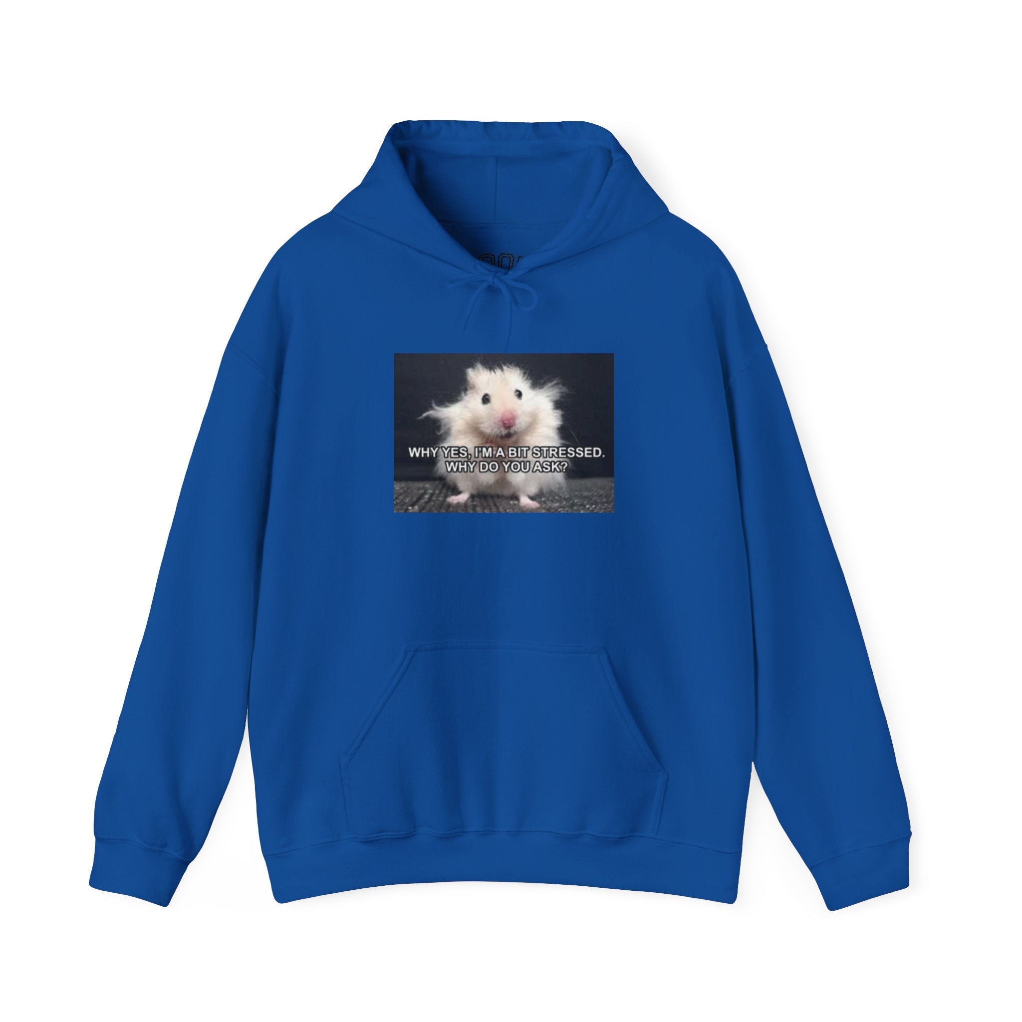 Hoodie — Cute Fluffy Hamster Graphic "Look Different" Pullover