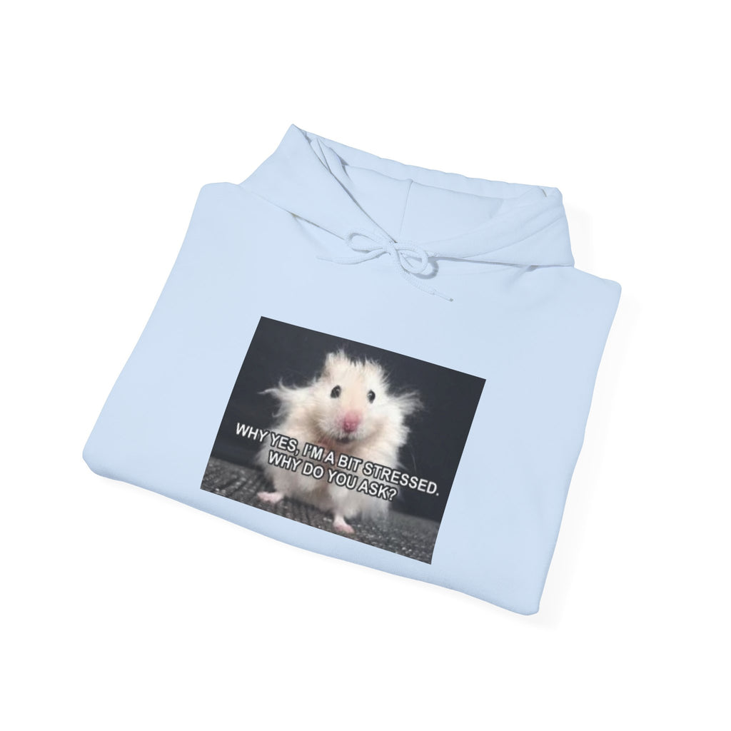 Hoodie — Cute Fluffy Hamster Graphic "Look Different" Pullover
