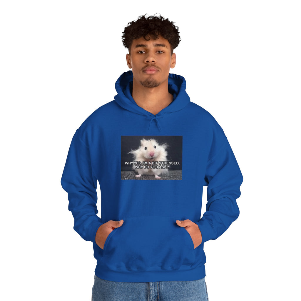 Hoodie — Cute Fluffy Hamster Graphic "Look Different" Pullover