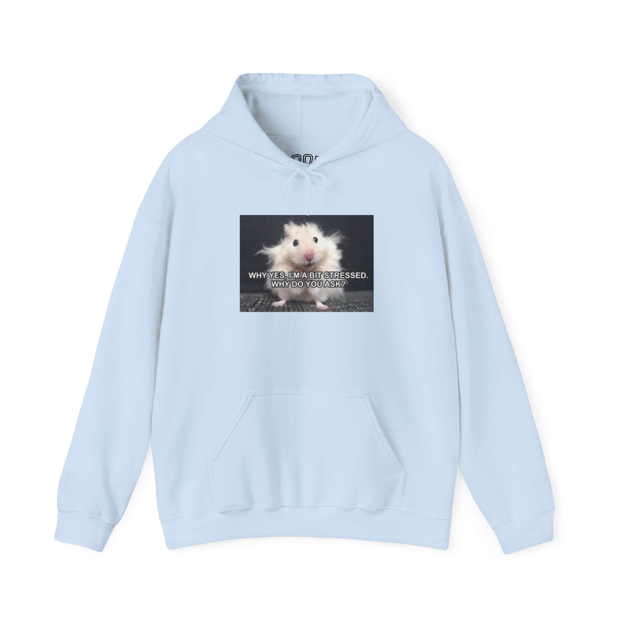 Hoodie — Cute Fluffy Hamster Graphic "Look Different" Pullover