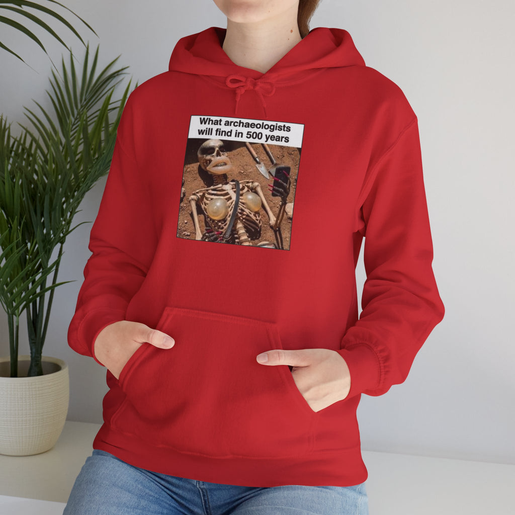 Hoodie — "What Arctic Ecologists Will Find in 500 Years" Vintage Cabin Photo | LOOK Different Back Print