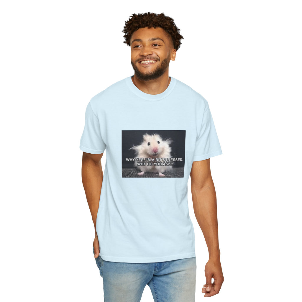 Cute Hamster Graphic Tee — "Why Yes, I’m Stressed. Whaddya Got?"