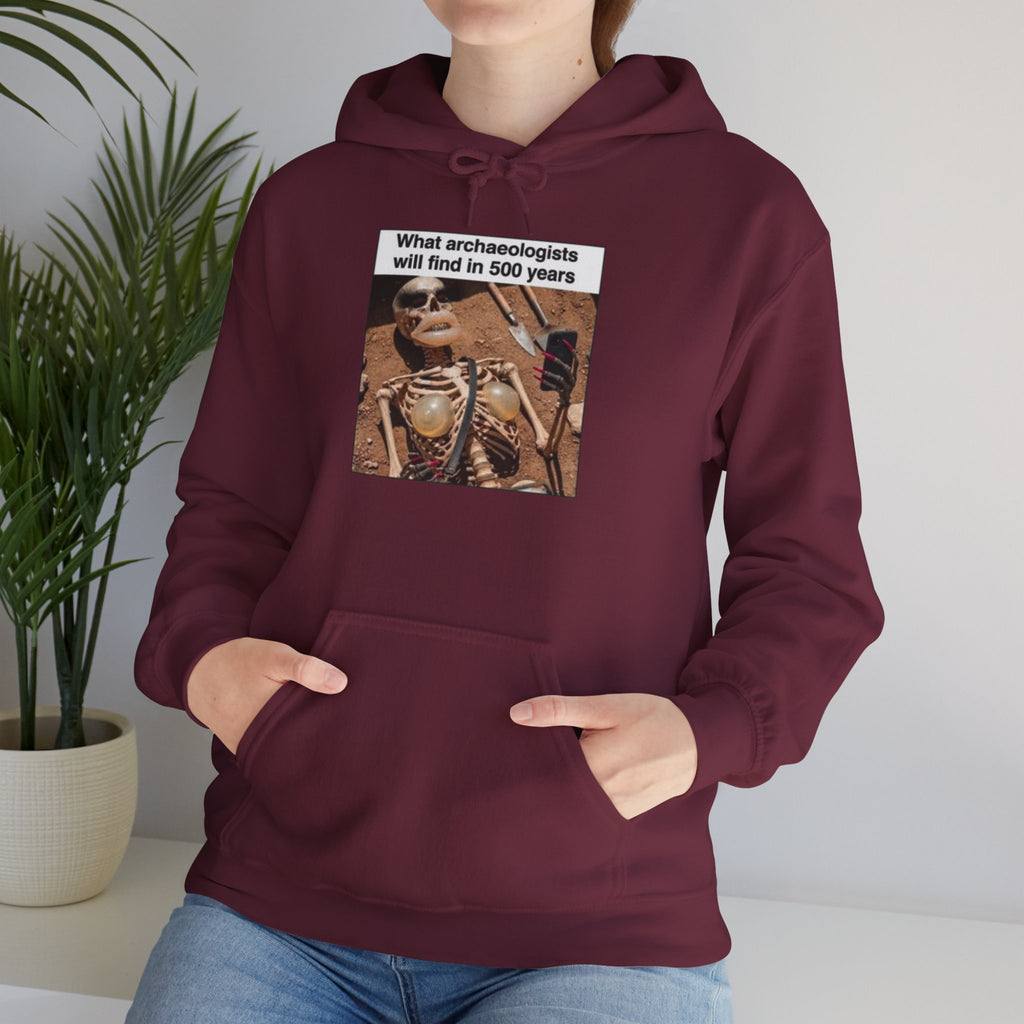 Hoodie — "What Arctic Ecologists Will Find in 500 Years" Vintage Cabin Photo | LOOK Different Back Print