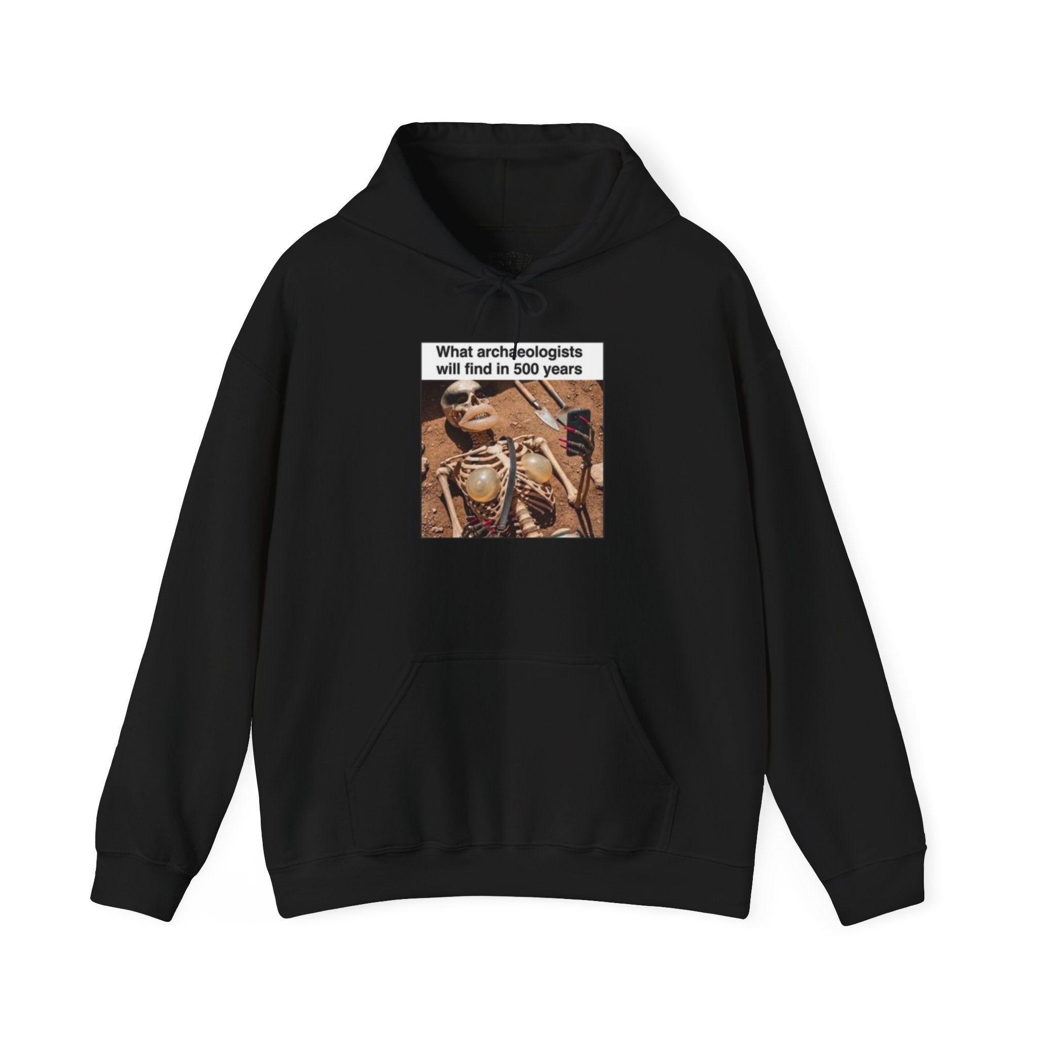 Hoodie — "What Arctic Ecologists Will Find in 500 Years" Vintage Cabin Photo | LOOK Different Back Print