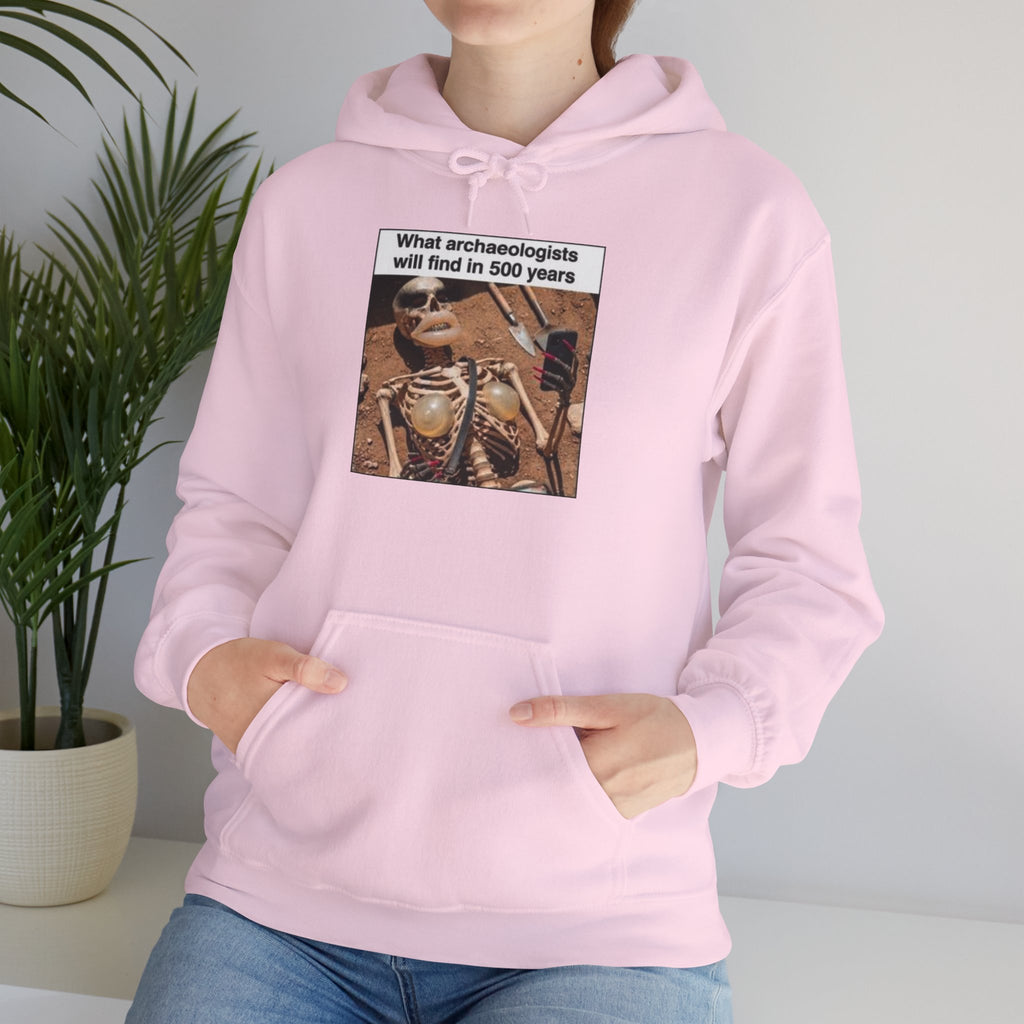 Hoodie — "What Arctic Ecologists Will Find in 500 Years" Vintage Cabin Photo | LOOK Different Back Print