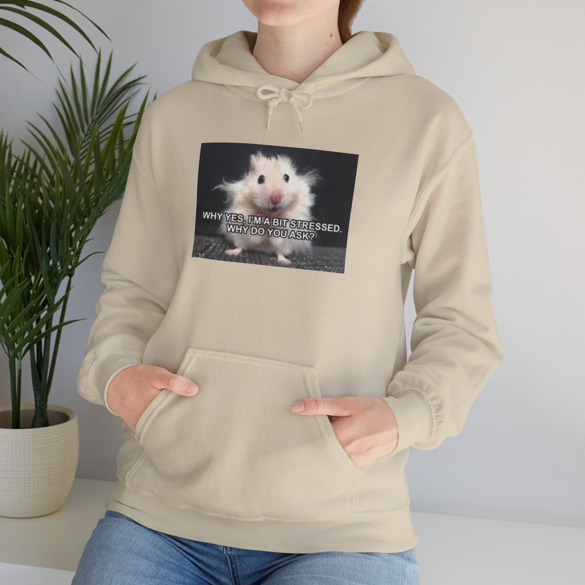 Hoodie — Cute Fluffy Hamster Graphic "Look Different" Pullover