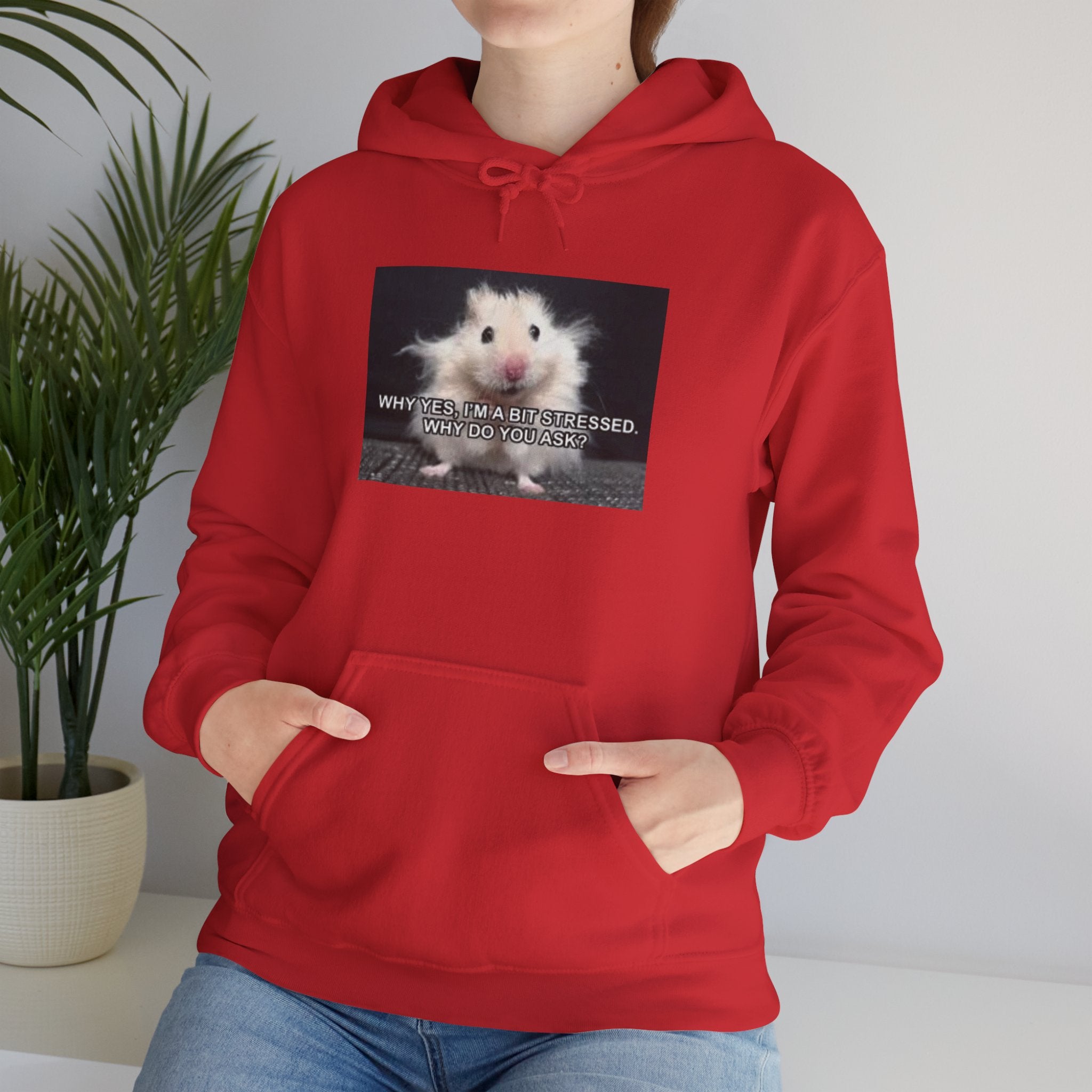 Hoodie — Cute Fluffy Hamster Graphic "Look Different" Pullover